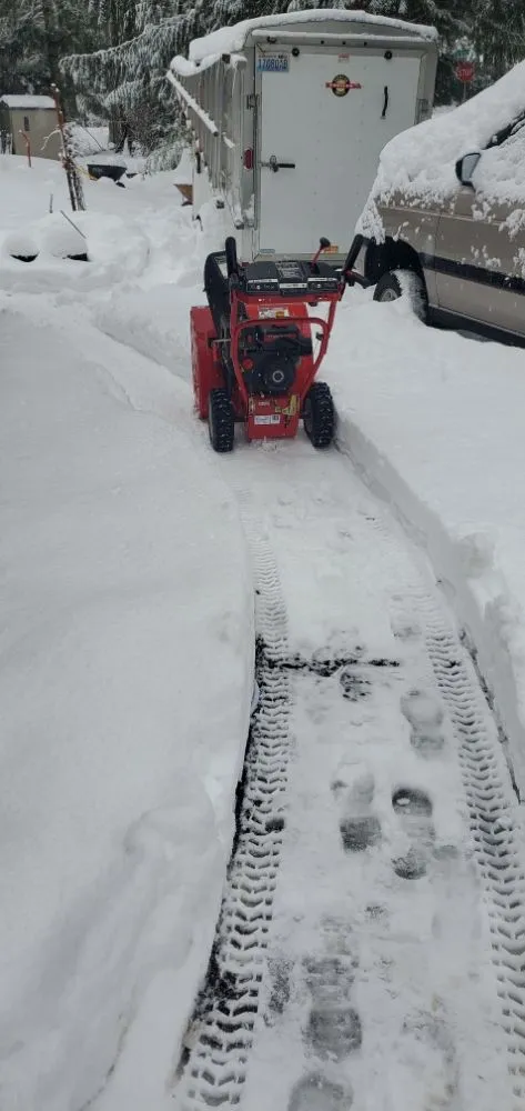 Expert yard cleanup service near you across Shelton, WA - Oscar's Gardening