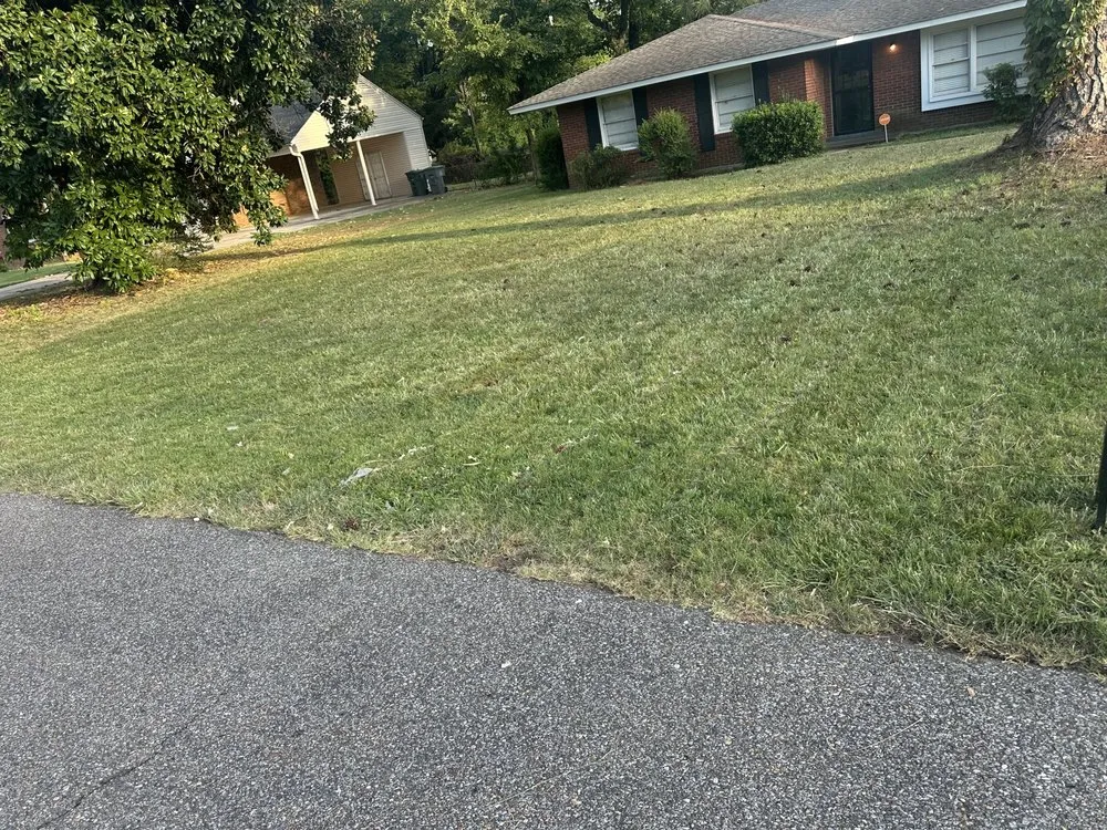 Top-rated lawn care service with custom design across Memphis, TN - Oscars LandScape and Repair