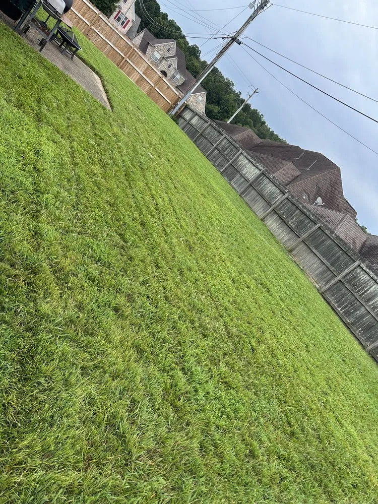 Local garden landscaping in Memphis, TN by Oscars LandScape and Repair