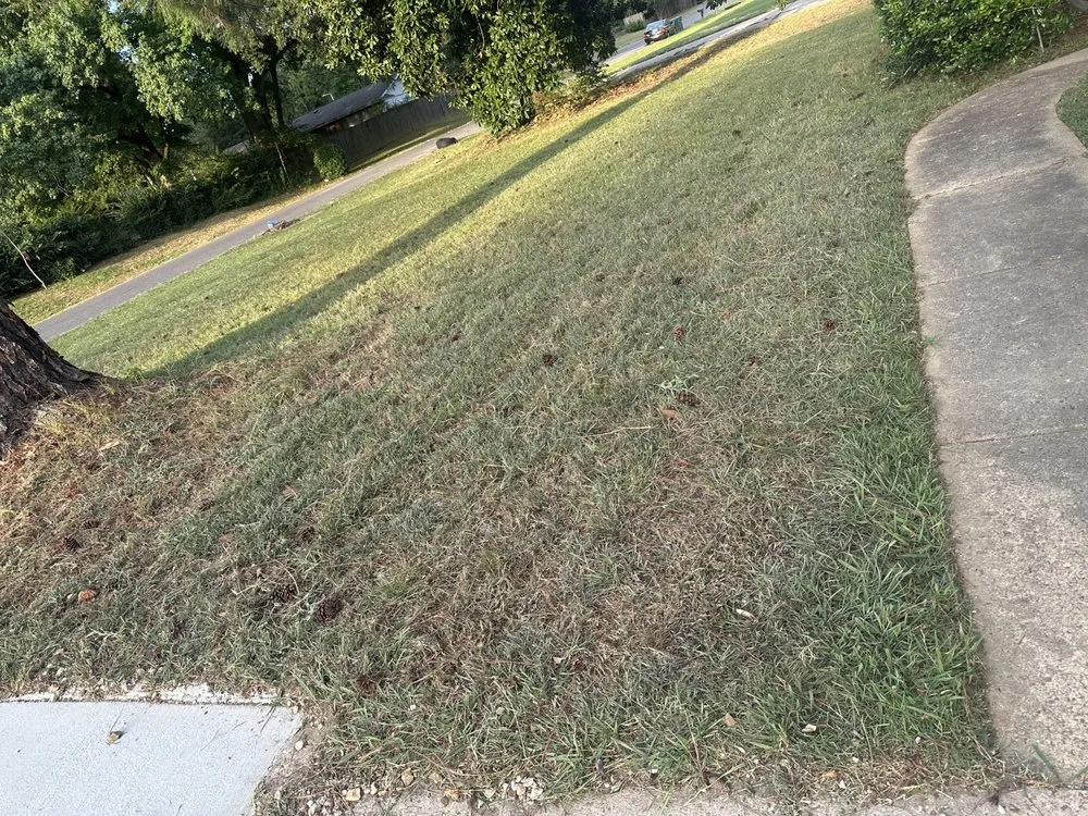 Local garden landscaping in Memphis, TN by Oscars LandScape and Repair