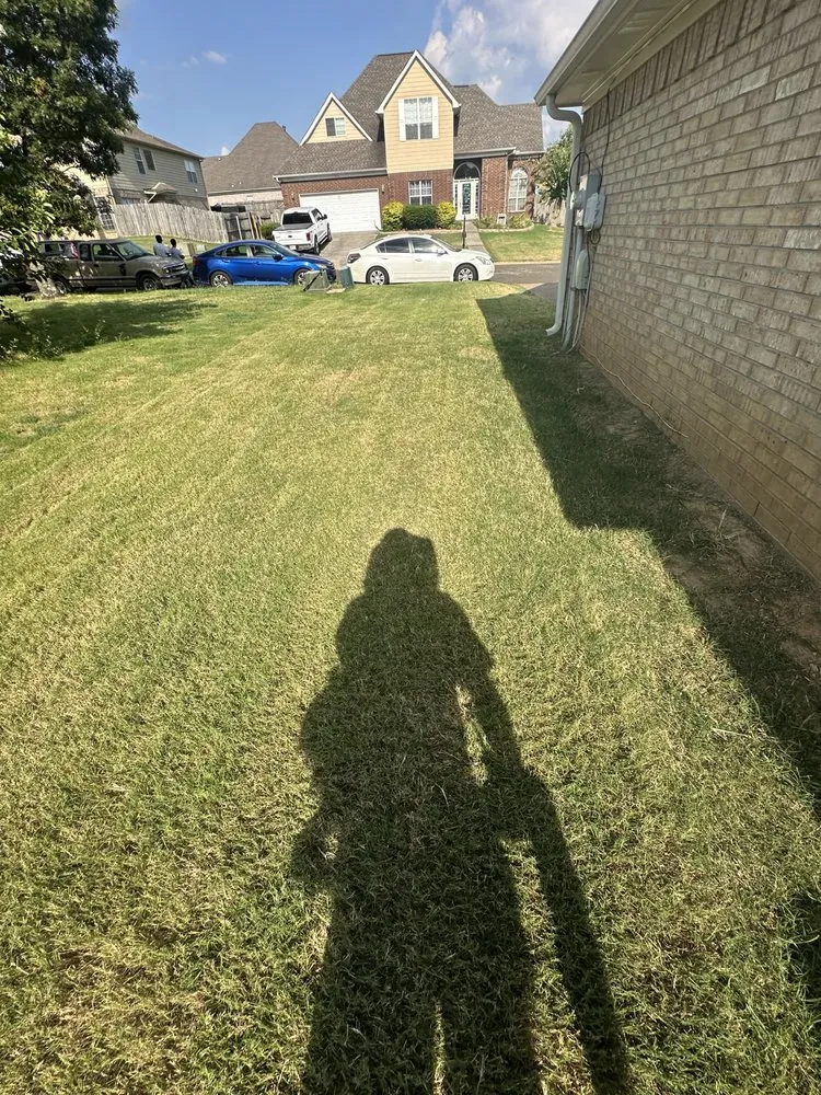 Local garden landscaping experts serving Memphis, TN - Oscars LandScape and Repair