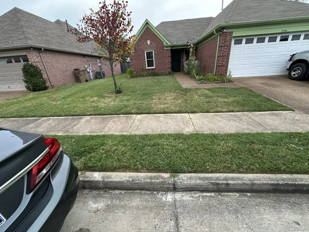 Expert yard maintenance near you in Memphis, TN by Oscars LandScape and Repair