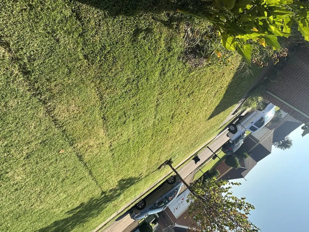 Local residential landscaping for residential properties in Memphis, TN by Oscars LandScape and Repair