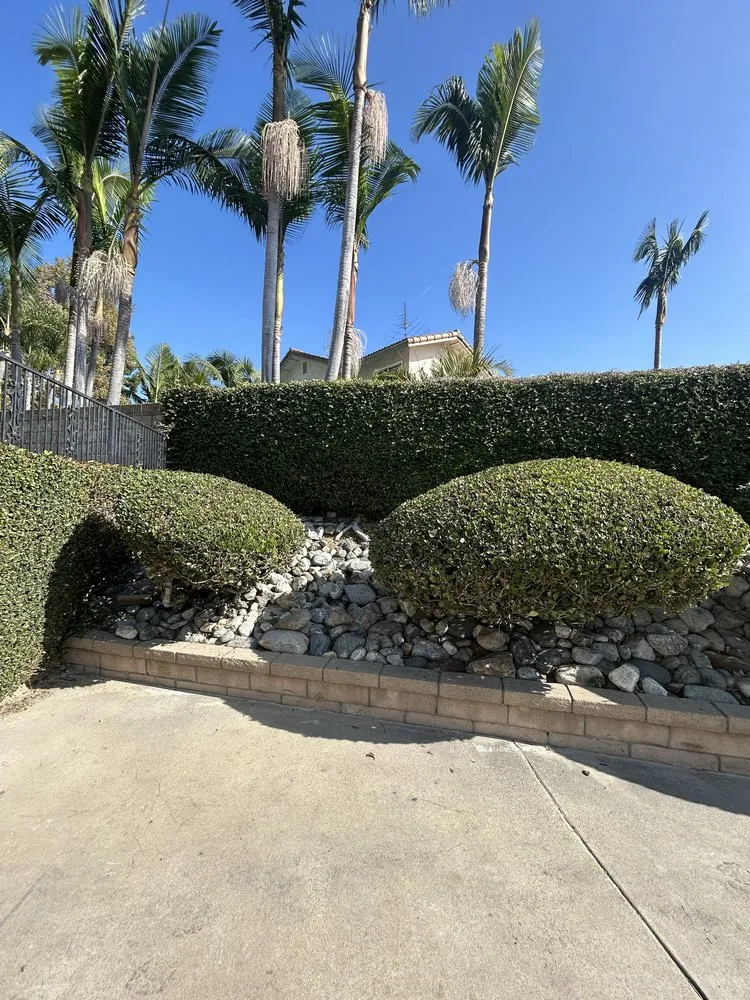 Local landscape design for homes in Pomona, CA by Oscar’s Landscaping Services