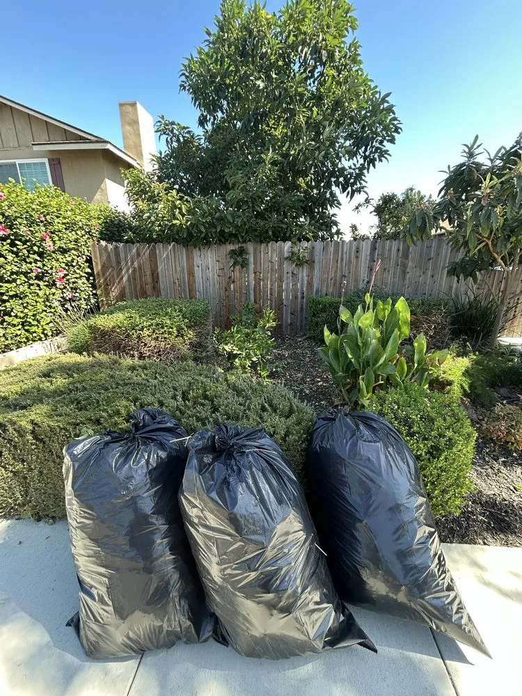 Professional landscape installation for year-round maintenance in Pomona, CA by Oscar’s Landscaping Services