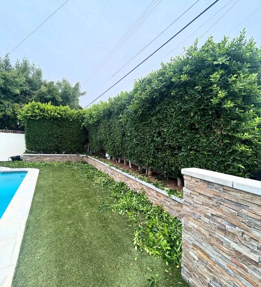 Reliable garden landscaping for homes across Pomona, CA - Oscar’s Landscaping Services