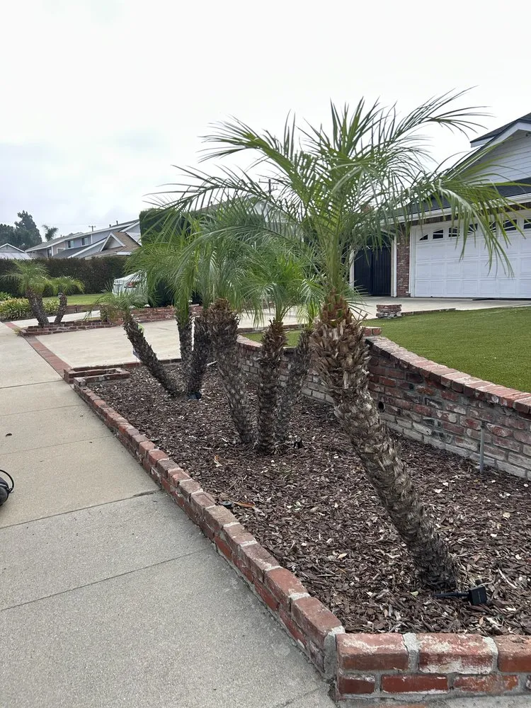 Top-rated residential landscaping for homes in Pomona, CA by Oscar’s Landscaping Services