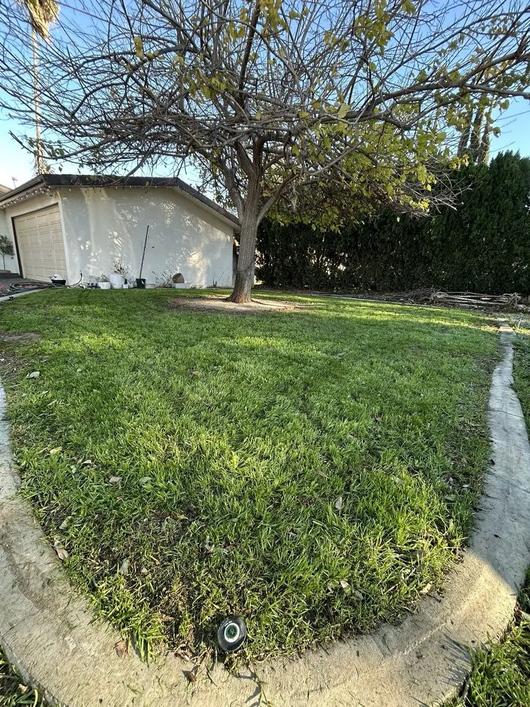 Local yard maintenance for beautiful yards across Pomona, CA - Oscar’s Landscaping Services