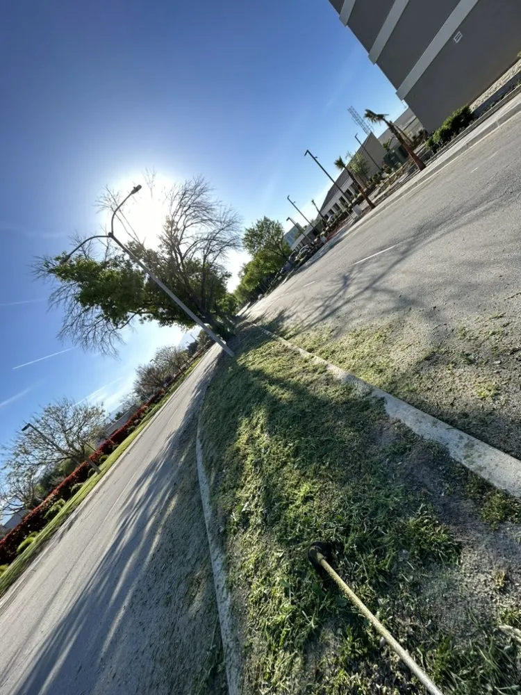 Reliable outdoor landscaping experts serving Pomona, CA - Oscar’s Landscaping Services