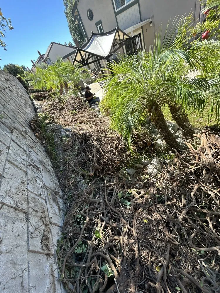 Reliable landscape installation experts serving Pomona, CA - Oscar’s Landscaping Services