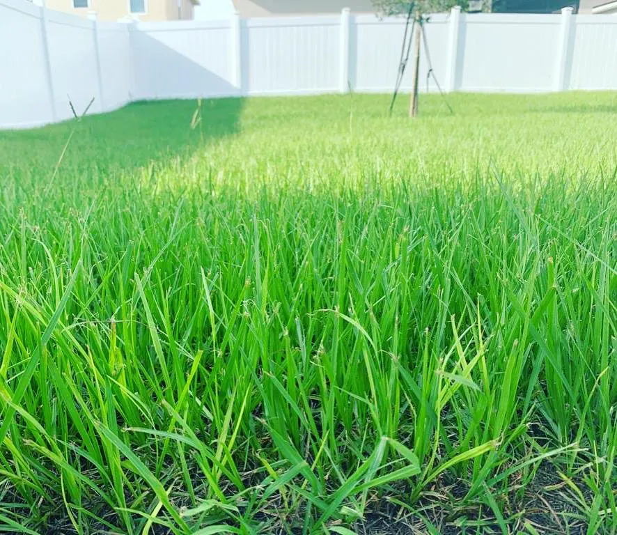 Top-rated landscape installation for homes across Davenport, FL - Oscar’s Lawn Care