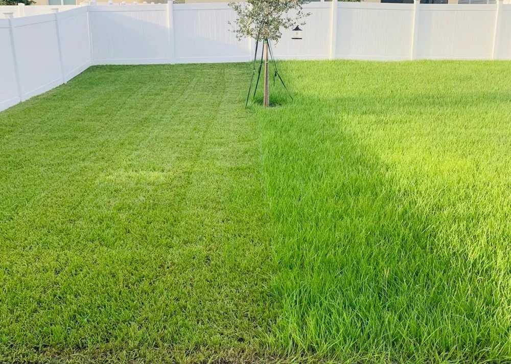 Top-rated garden landscaping in Davenport, FL by Oscar’s Lawn Care