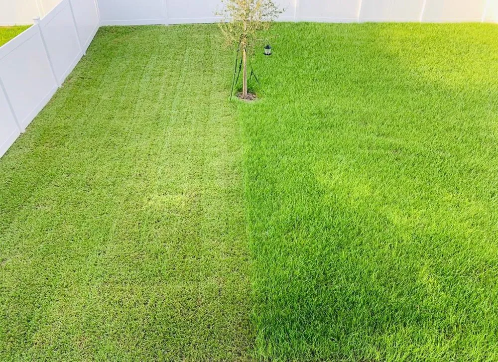 Top-rated landscape design in Davenport, FL - Oscar’s Lawn Care