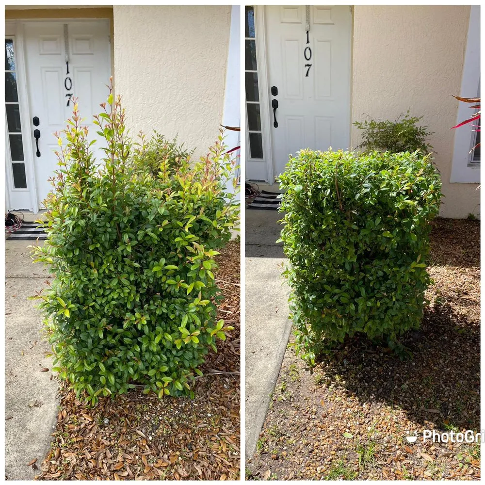 Reliable landscape design in Davenport, FL - Oscar’s Lawn Care