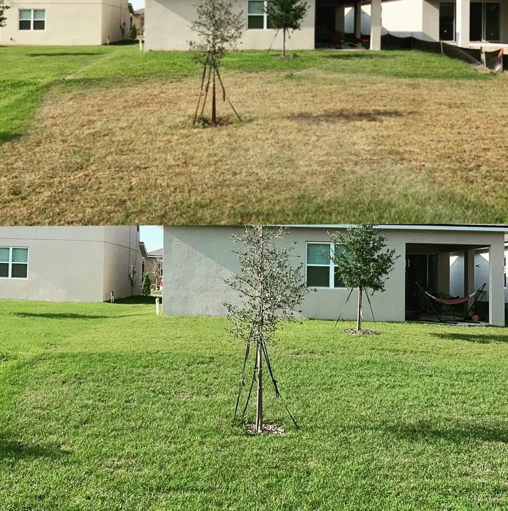 Expert lawn care service in Davenport, FL by Oscar’s Lawn Care