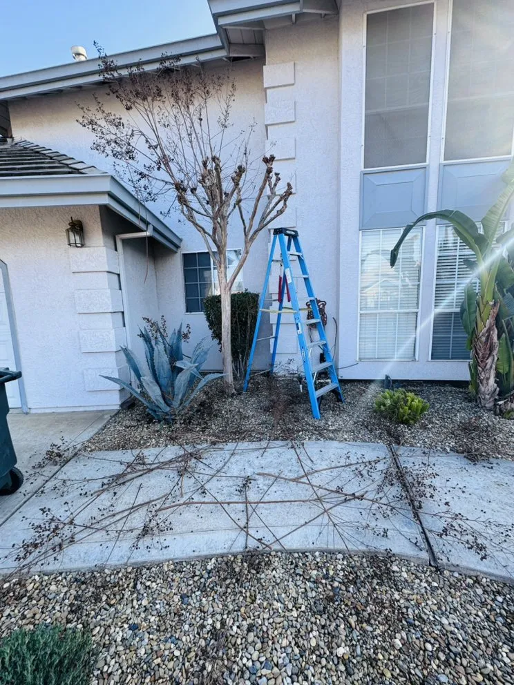 Professional yard maintenance experts serving Manteca, CA - Oscar’s Lawn Care