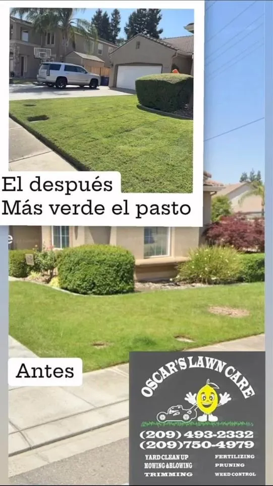 Professional outdoor landscaping for homes across Manteca, CA - Oscar’s Lawn Care