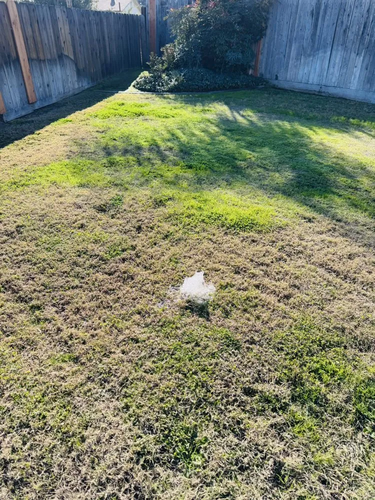 Reliable landscaping services for homes in Manteca, CA by Oscar’s Lawn Care