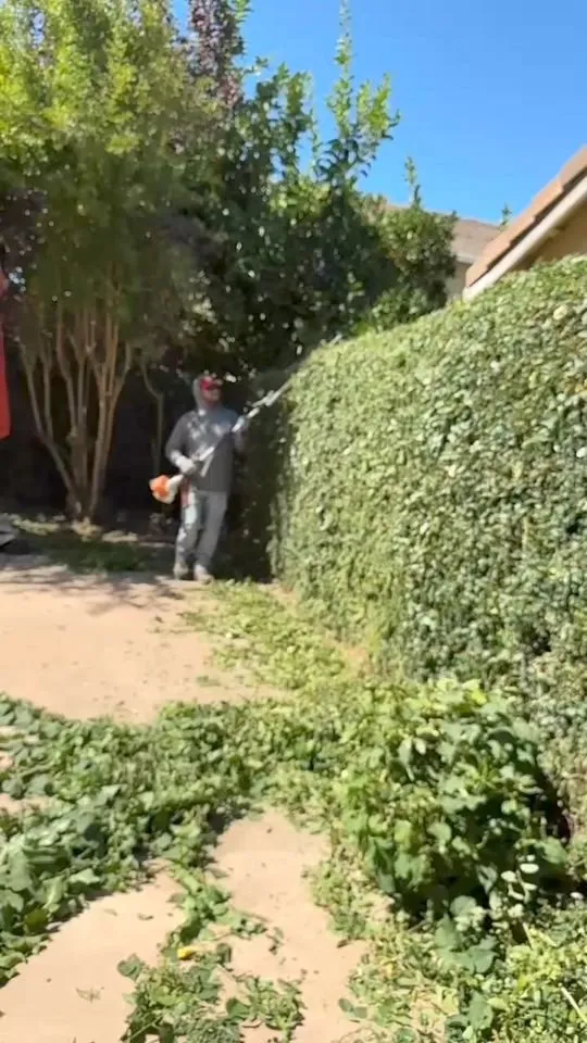 Local lawn care service near you across Manteca, CA - Oscar’s Lawn Care