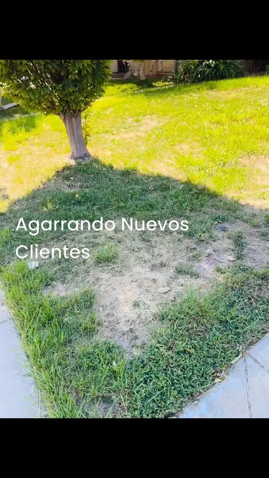 Affordable garden landscaping in Manteca, CA by Oscar’s Lawn Care