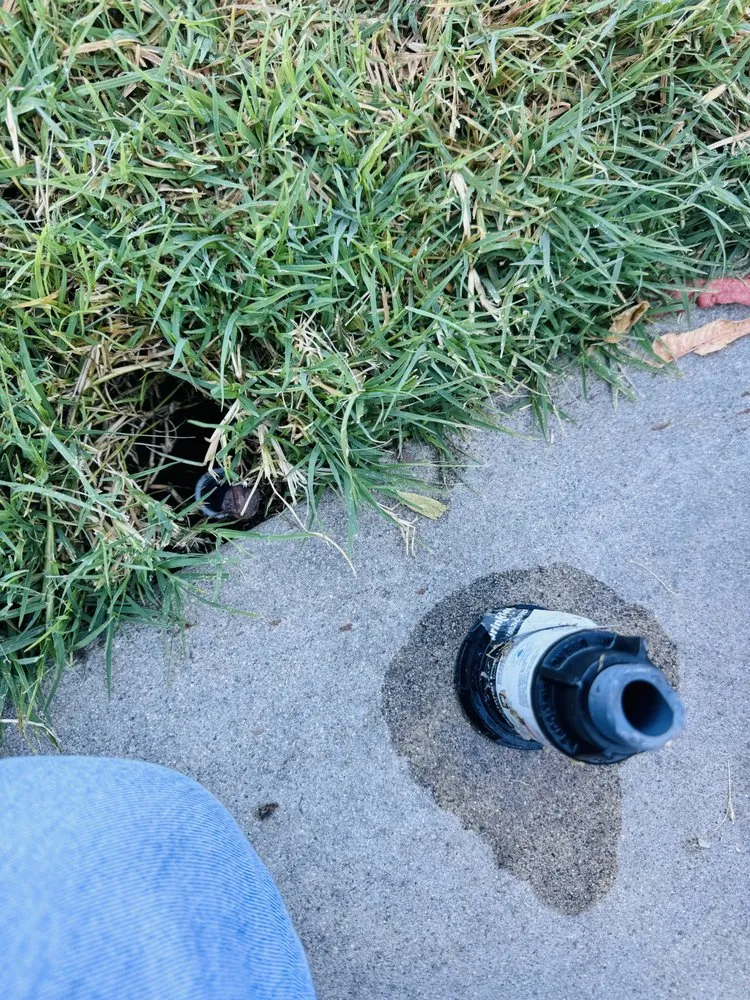 Trusted landscape design near you across Manteca, CA - Oscar’s Lawn Care