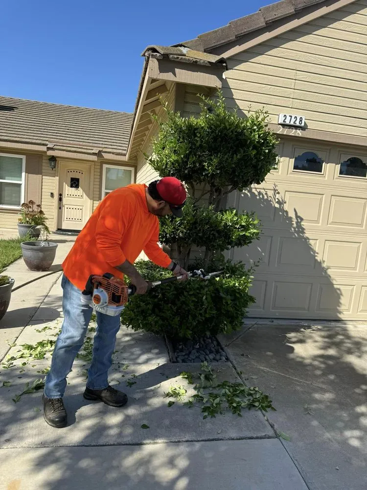 Top-rated outdoor landscaping in Manteca, CA by Oscar’s Lawn Care