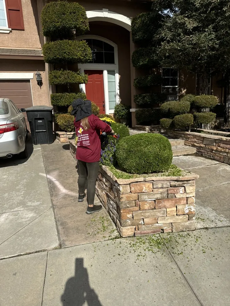 Reliable landscaping services in Manteca, CA by Oscar’s Lawn Care