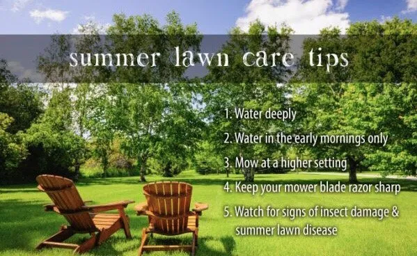 Custom landscape installation in Covington, LA - Oscar's Lawn Services