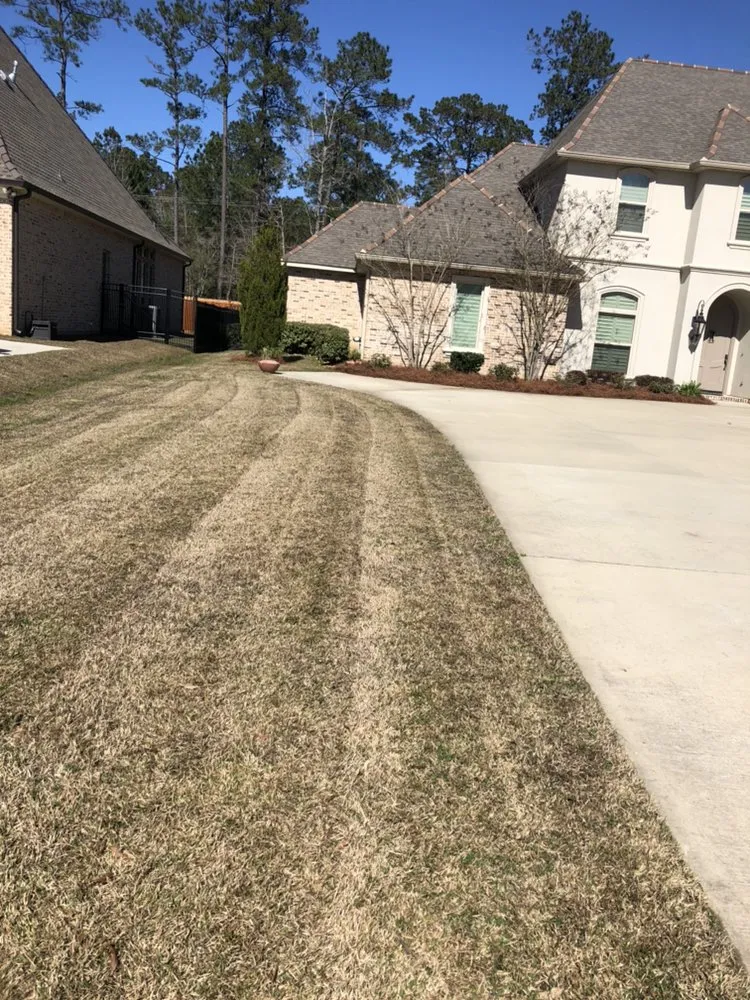 Professional lawn care service in Covington, LA by Oscar's Lawn Services