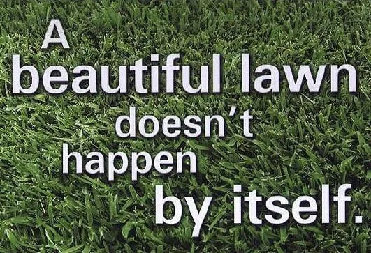 Reliable lawn care service in Covington, LA by Oscar's Lawn Services