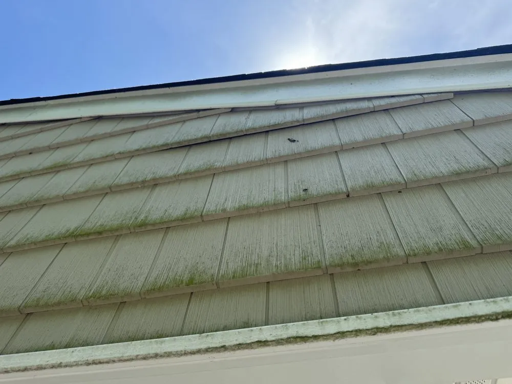 Expert yard maintenance in Freehold, NJ - Oscar’s Pressure Washing & More