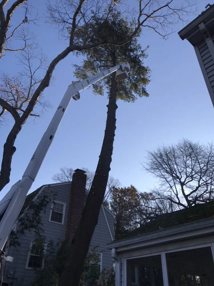 Trusted landscape design for beautiful yards across Lynn, MA - Oscar's The Pros, Tree Service