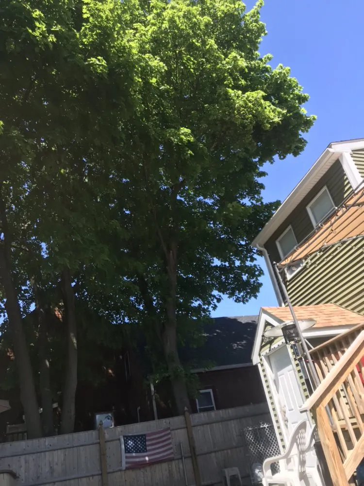 Top-rated garden landscaping for year-round maintenance across Lynn, MA - Oscar's The Pros, Tree Service