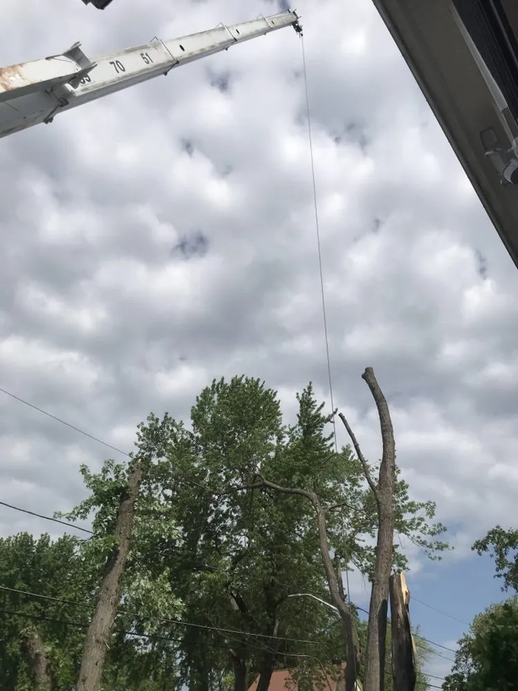 Local garden landscaping experts serving Lynn, MA - Oscar's The Pros, Tree Service