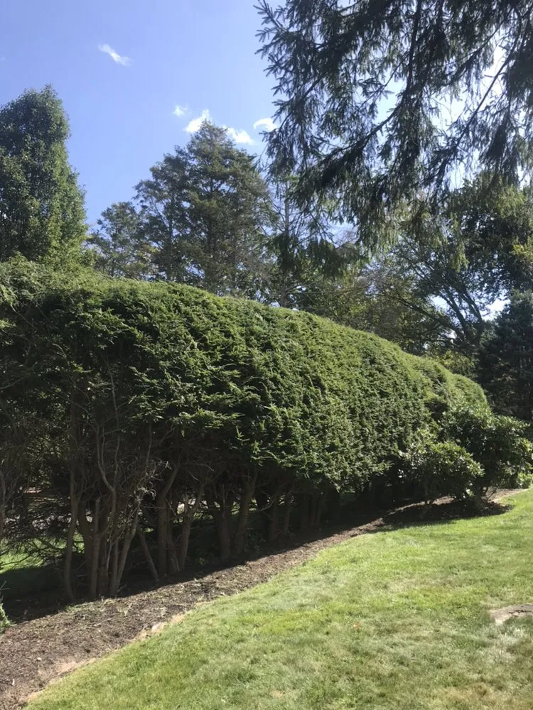 Custom garden landscaping for beautiful yards in Lynn, MA by Oscar's The Pros, Tree Service