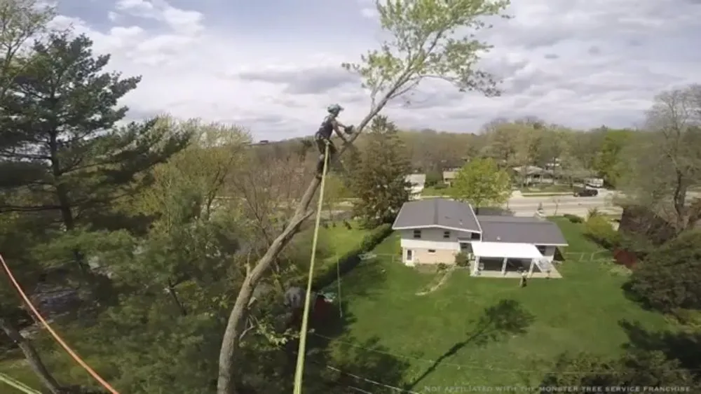 Top-rated landscape installation in Lynn, MA - Oscar's The Pros, Tree Service