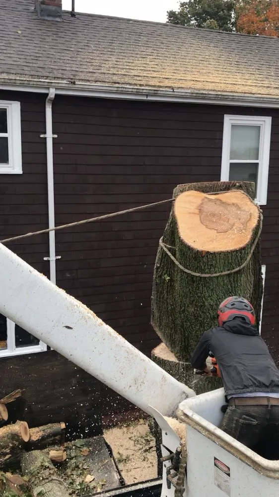 Expert lawn mowing service near you across Lynn, MA - Oscar's The Pros, Tree Service