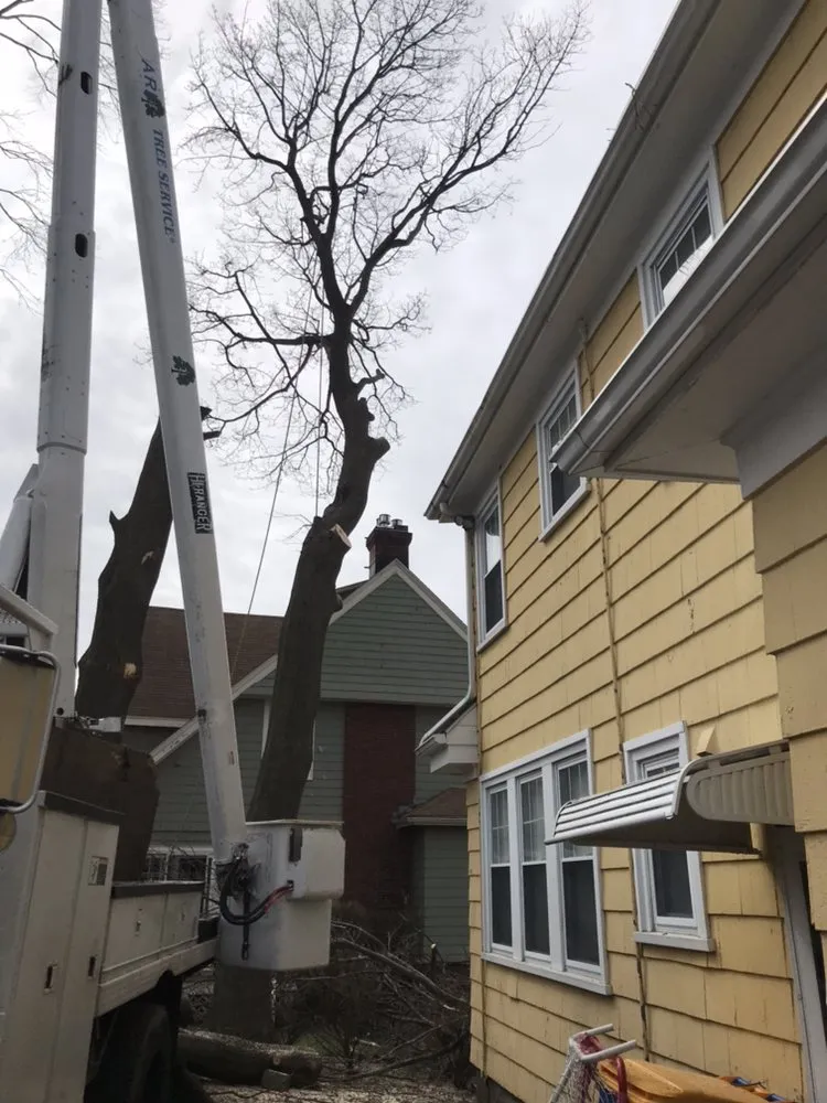 Top-rated garden landscaping in Lynn, MA by Oscar's The Pros, Tree Service