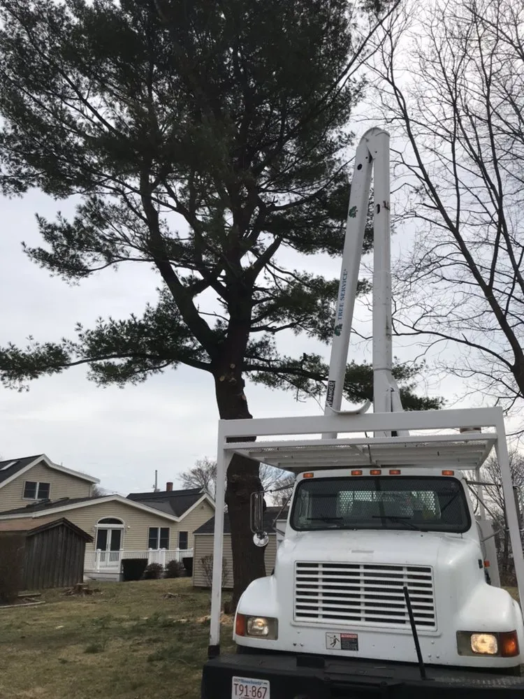 Trusted garden landscaping for residential properties in Lynn, MA by Oscar's The Pros, Tree Service