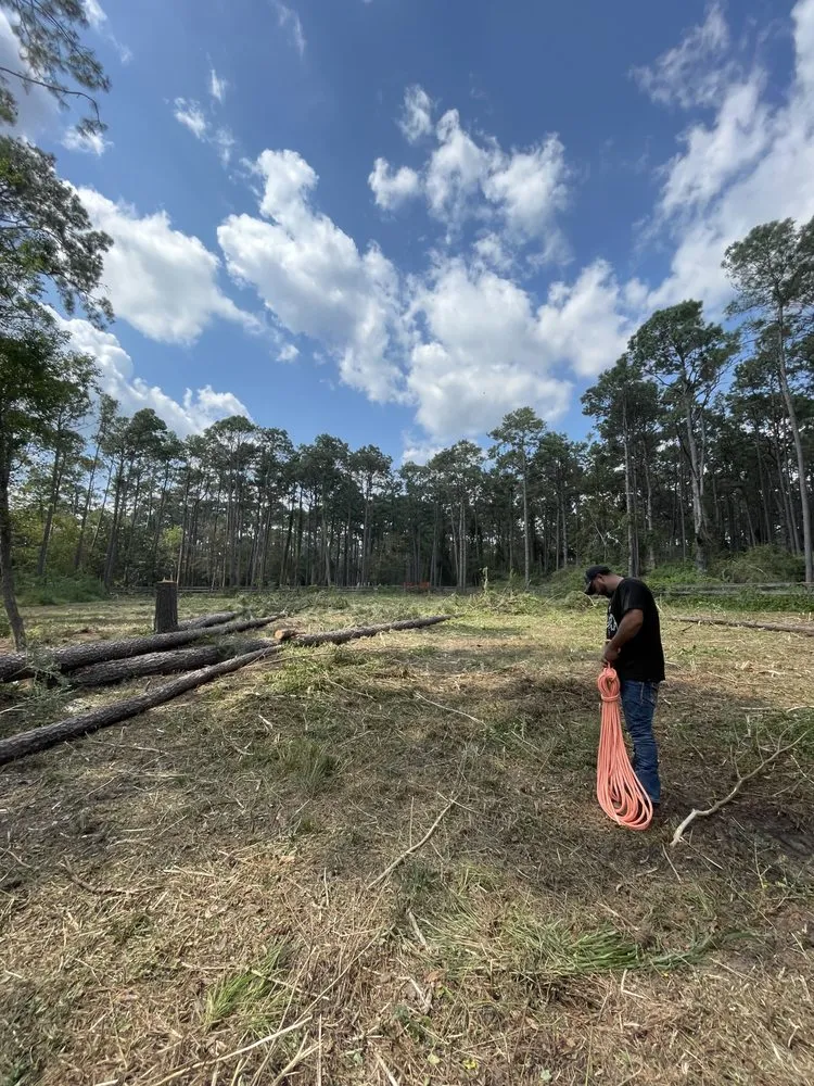 Reliable residential landscaping for residential properties across Cypress, TX - Oscars Tree Service