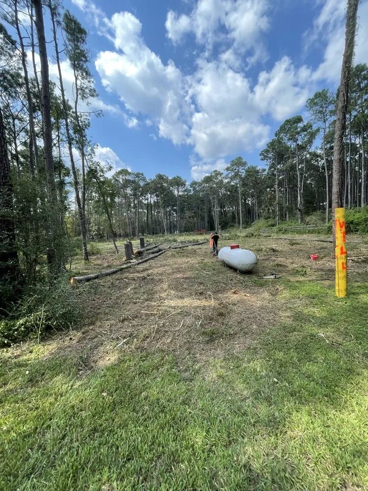 Affordable landscaping services experts serving Cypress, TX - Oscars Tree Service