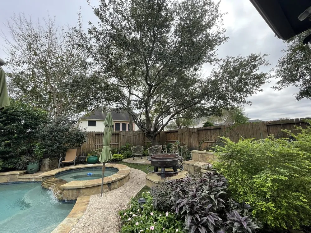 Top-rated lawn care service for beautiful yards in Cypress, TX by Oscars Tree Service