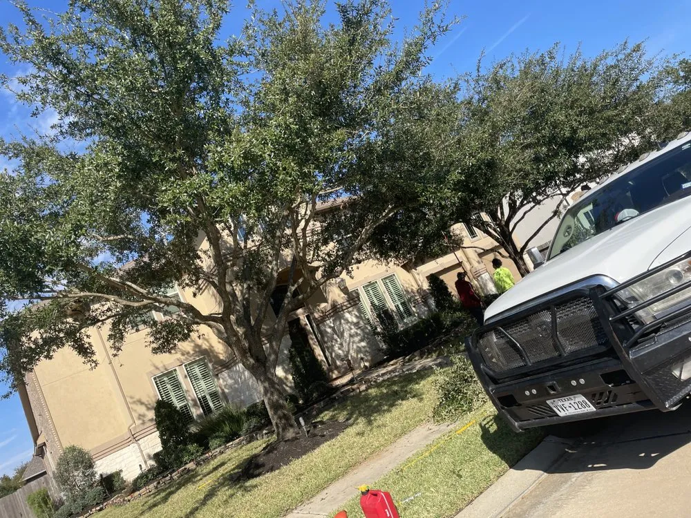 Reliable landscaping services in Cypress, TX - Oscars Tree Service