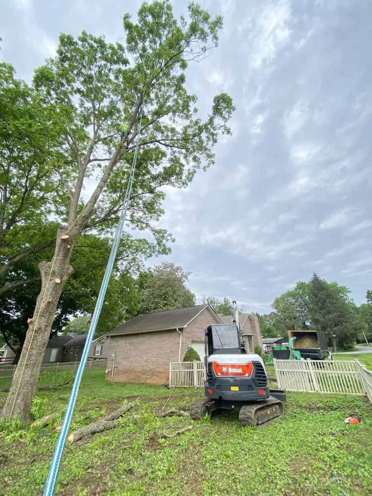 Top-rated landscape installation in Maryville, TN - Oscar’s Tree Service