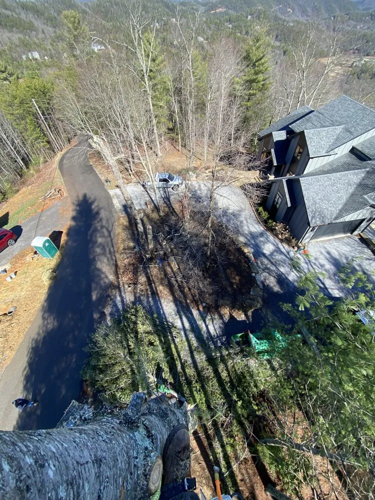 Local lawn mowing service in Maryville, TN - Oscar’s Tree Service