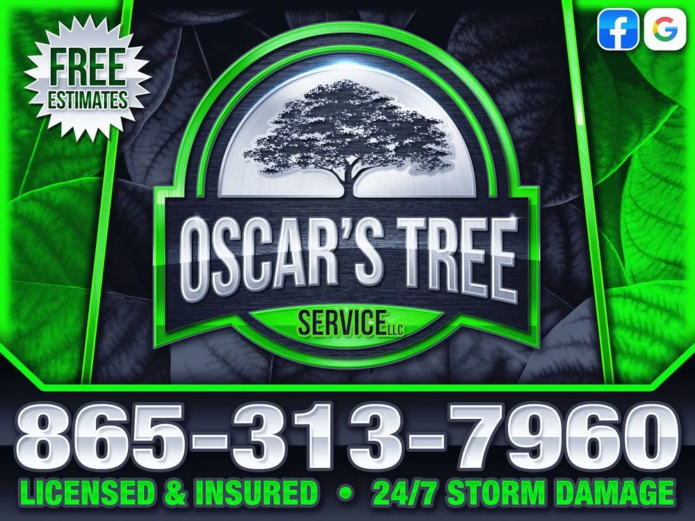 Top-rated landscape design for year-round maintenance in Maryville, TN by Oscar’s Tree Service
