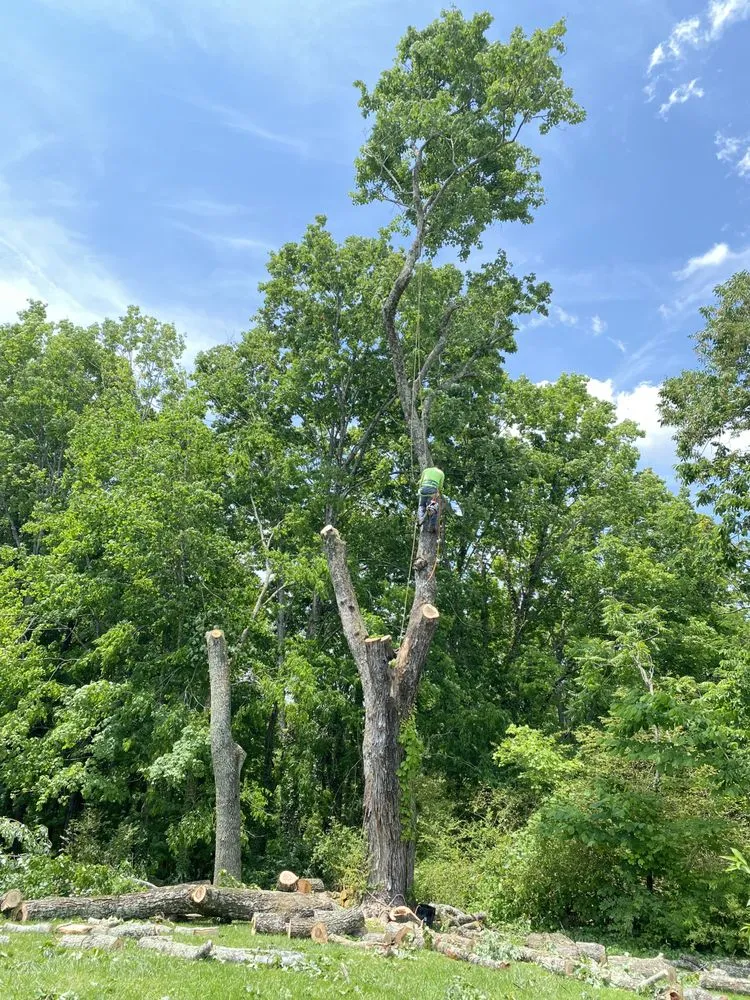 Top-rated outdoor landscaping in Maryville, TN - Oscar’s Tree Service