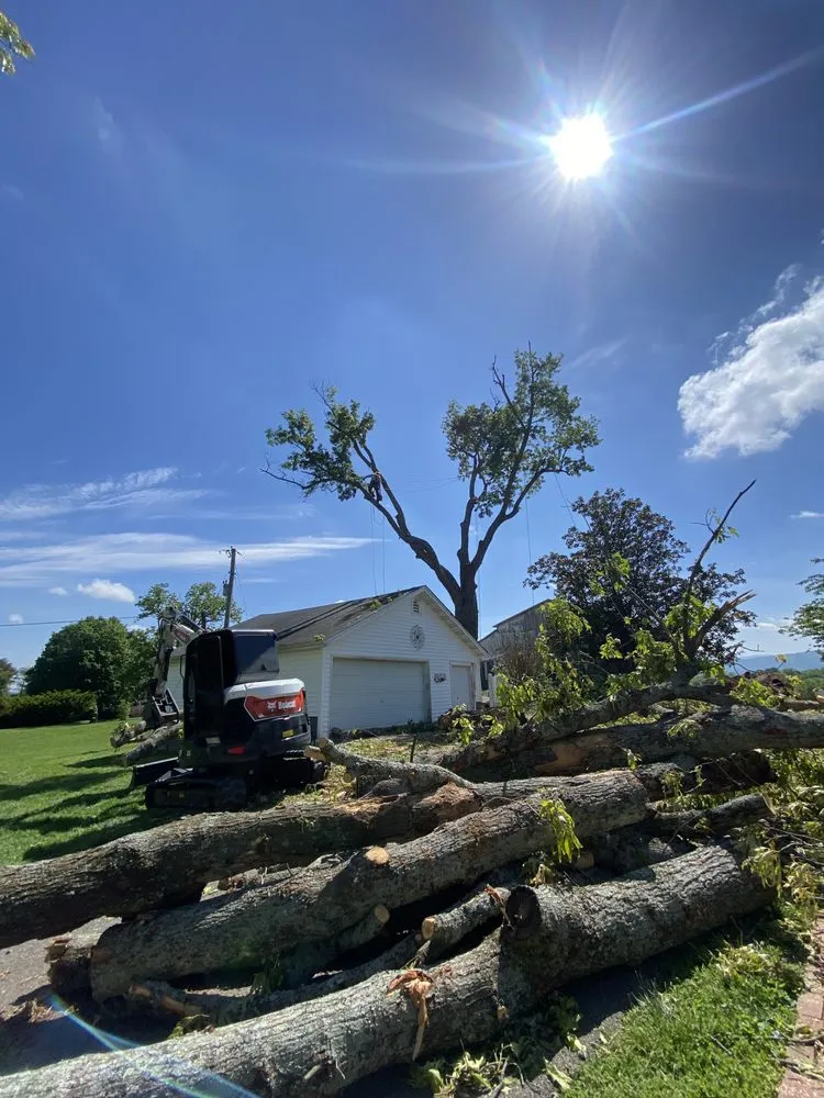 Local yard cleanup service in Maryville, TN - Oscar’s Tree Service