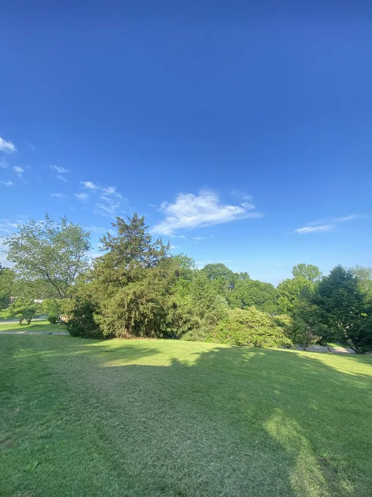 Reliable yard maintenance experts serving Maryville, TN - Oscar’s Tree Service