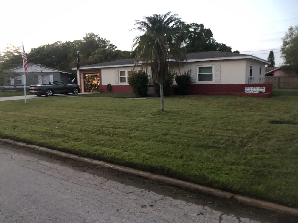 Expert lawn care service in Saint Petersburg, FL - Oscellaris Lawn Care